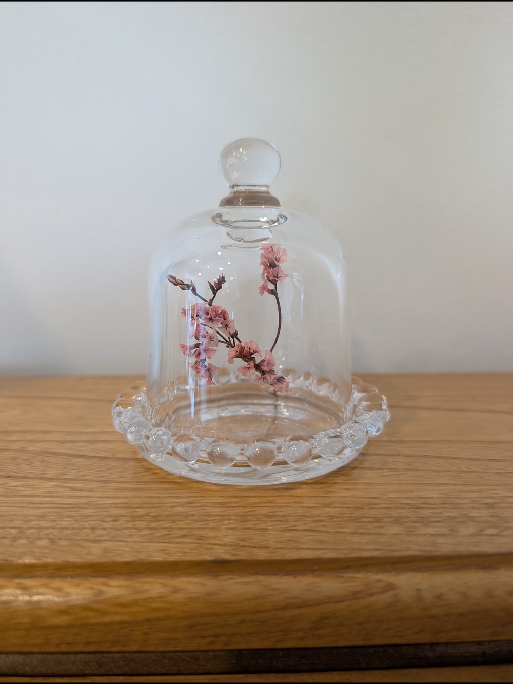 Vintage Glass Dome with Scalloped Plate